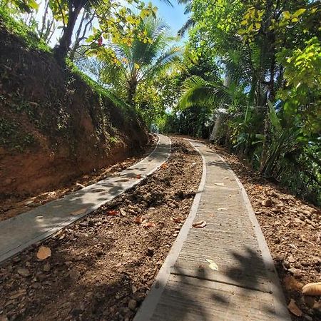Private Jungle “Loft Del Rio” River Access 우비타 외부 사진