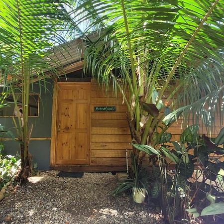 Private Jungle “Loft Del Rio” River Access 우비타 외부 사진
