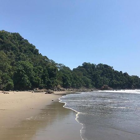 Private Jungle “Loft Del Rio” River Access 우비타 외부 사진