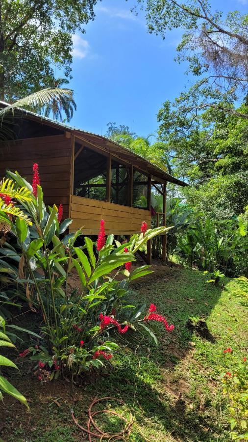 Private Jungle “Loft Del Rio” River Access 우비타 외부 사진