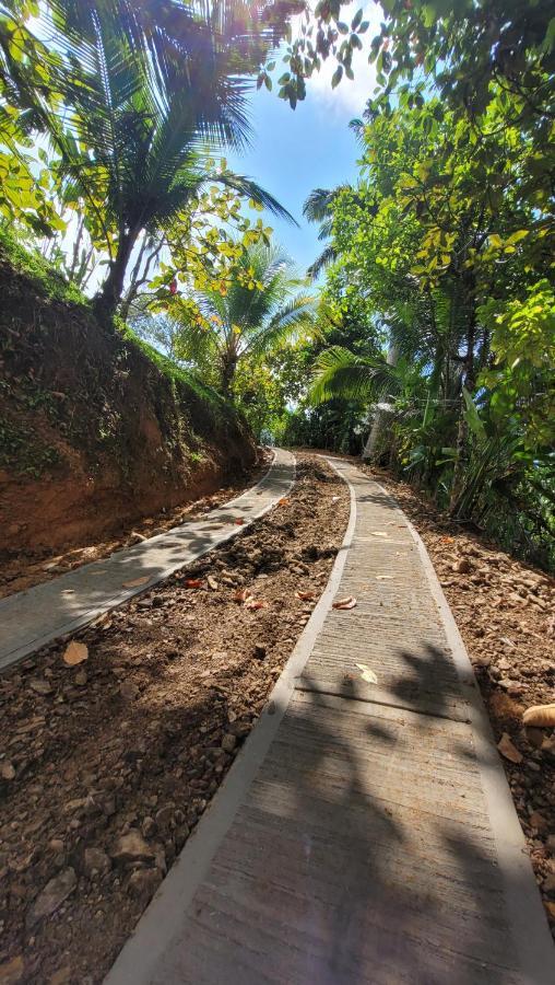 Private Jungle “Loft Del Rio” River Access 우비타 외부 사진