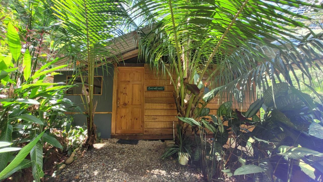 Private Jungle “Loft Del Rio” River Access 우비타 외부 사진