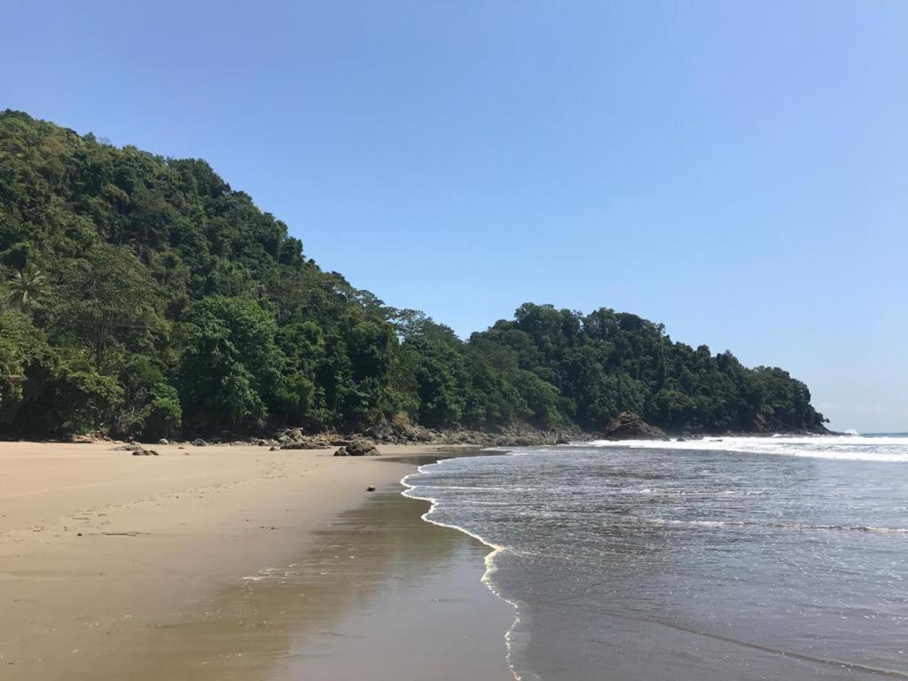 Private Jungle “Loft Del Rio” River Access 우비타 외부 사진